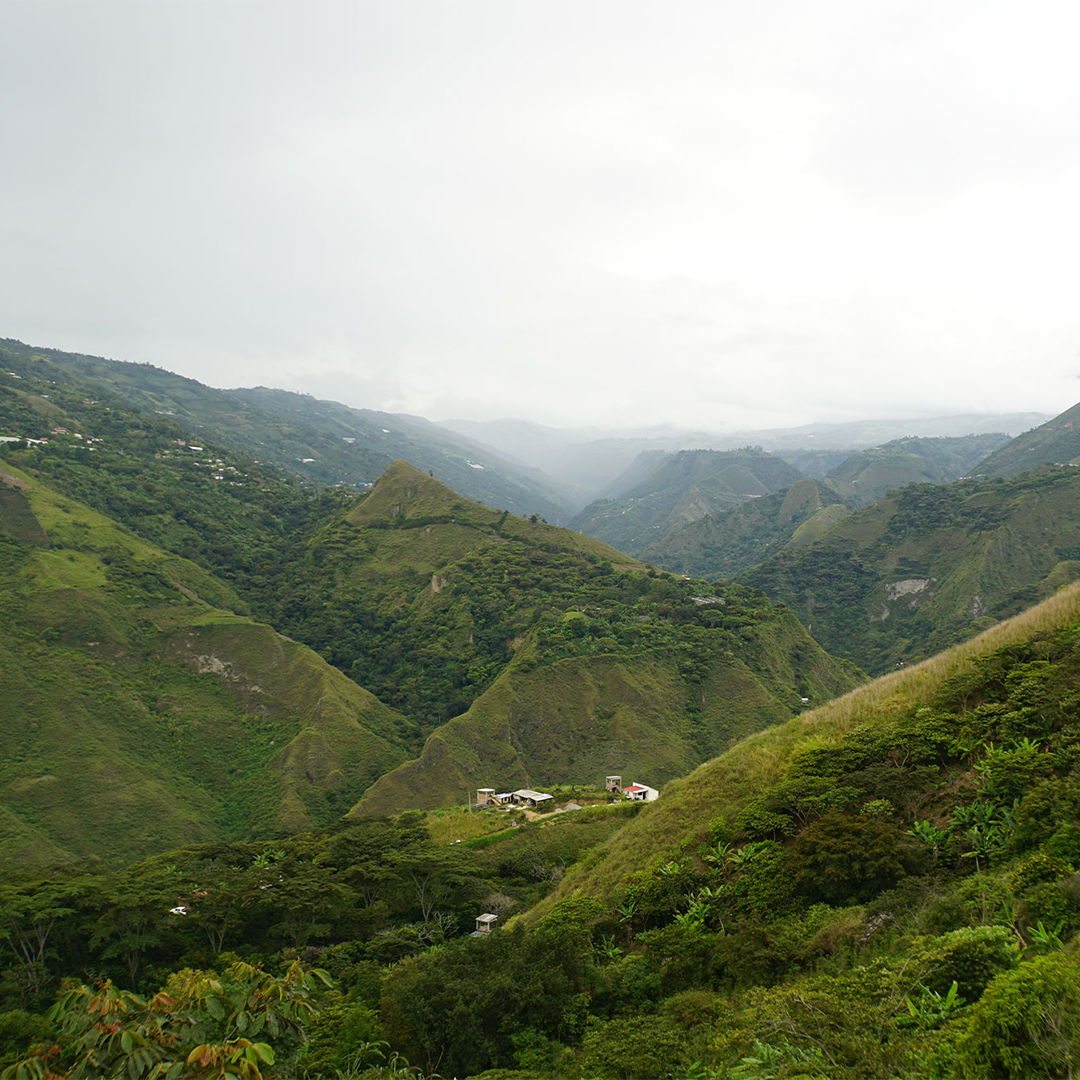 Colombia El Plan - Filter