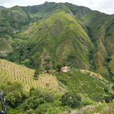 Colombia El Plan - Filter