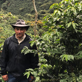 Guatemala La Union Pacamara Premium - Filter
