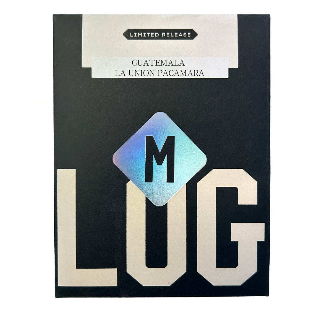 Guatemala La Union Pacamara Premium - Filter
