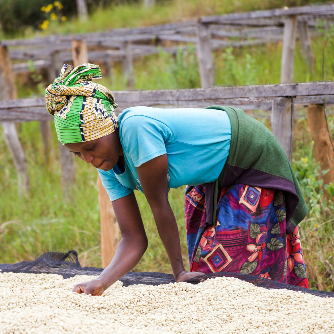 Rwanda Nkara Women's Coffee - Filter
