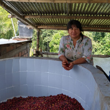 Colombia Edilma Piedrahita - Filter