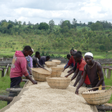 Burundi Masha Kayanza - Espresso