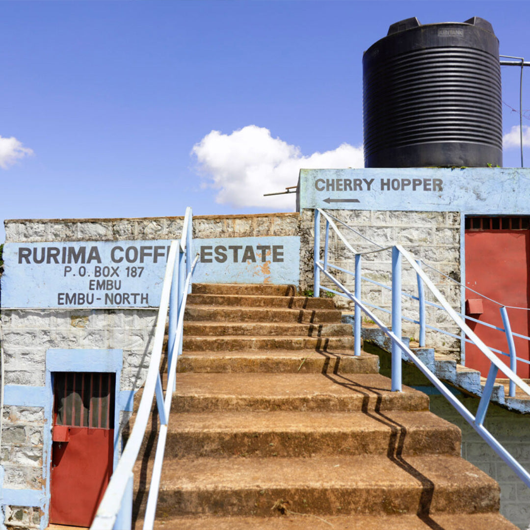 Kenya Rurima Estate - Filter