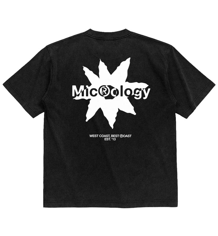 Boxfit Shirt